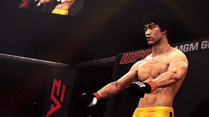 Ea Sports Ufc 3 Pc Torrent